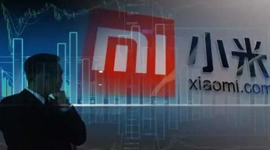 小米集团在逆境中成长，发展速度惊人