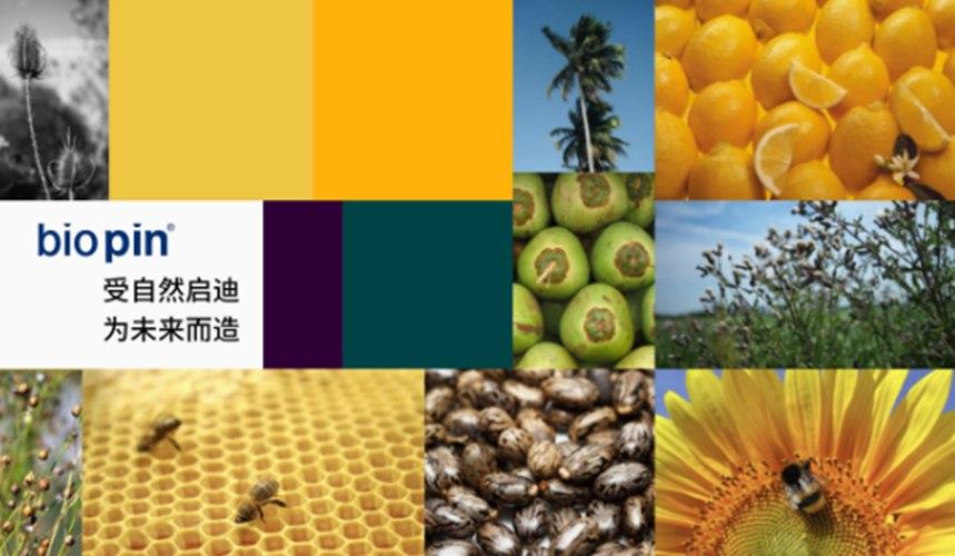 百槟是怎样炼成食品级纯天然生物涂料？