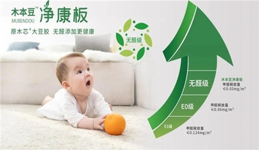 木本豆净康板净呼吸 净生活