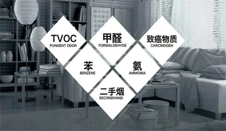 木本豆净康板净呼吸 净生活