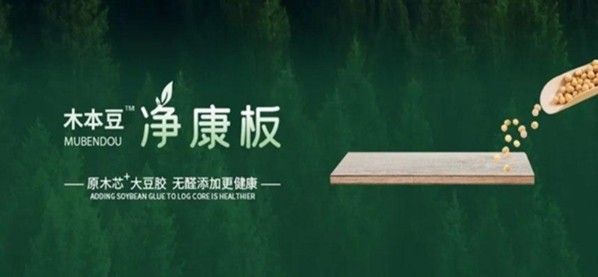 木本豆净康板净呼吸 净生活