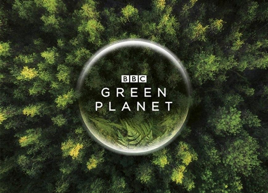 B站与BBC首次联合出品《绿色星球》来了