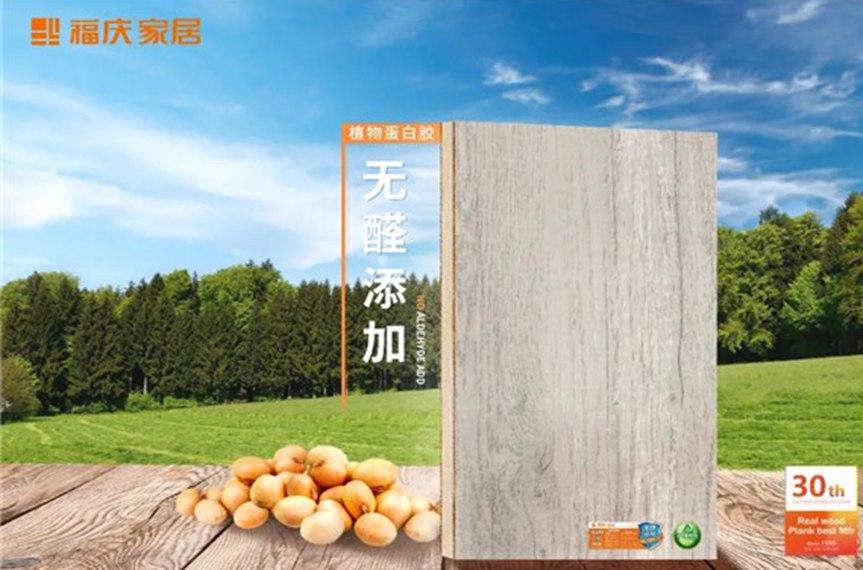 本豆净康板丨品质源于专业，健康源于自然