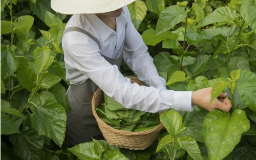 MANITO环保面料，呵护舒适睡眠