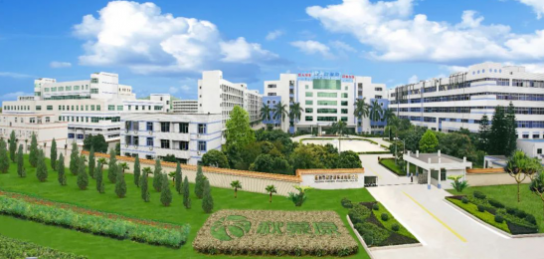 秋叶原强势登陆央视四大频道，走进千家万户