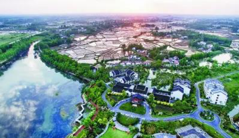 鼎龙集团徐闻项目建设工作座谈会顺利召开
