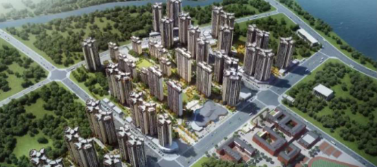 鼎龙集团徐闻项目建设工作座谈会顺利召开
