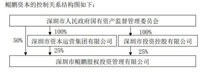 深圳国资148亿接盘苏宁易购