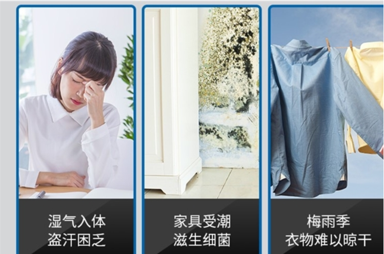浦力适除湿机，让我们和“霉”运说再见