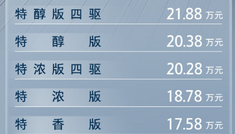 姚安娜代言WEY品牌全新SUV摩卡正式上市
