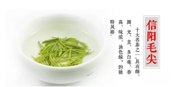 信阳毛尖再蹭热点：改名“中国天化工”