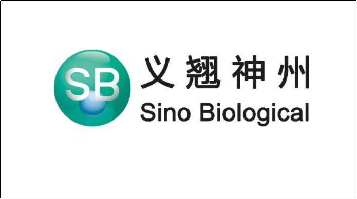义翘神州中签结果出炉，中签者大赚
