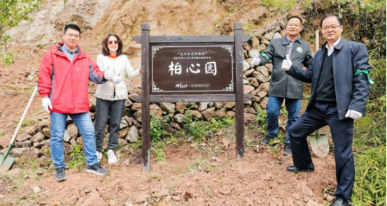 柏厨家居积极践行公益项目“柏爱无疆·一棵树计划”