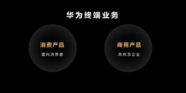 华为消费者业务更名为“华为终端业务”，进军商用领域